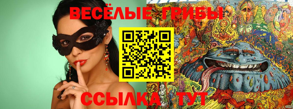 Галлюциногенные грибы Cubensis Ногинск