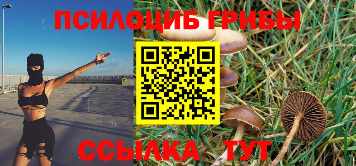 Псилоцибиновые грибы мухоморы  Вход с VPN  Ногинск 