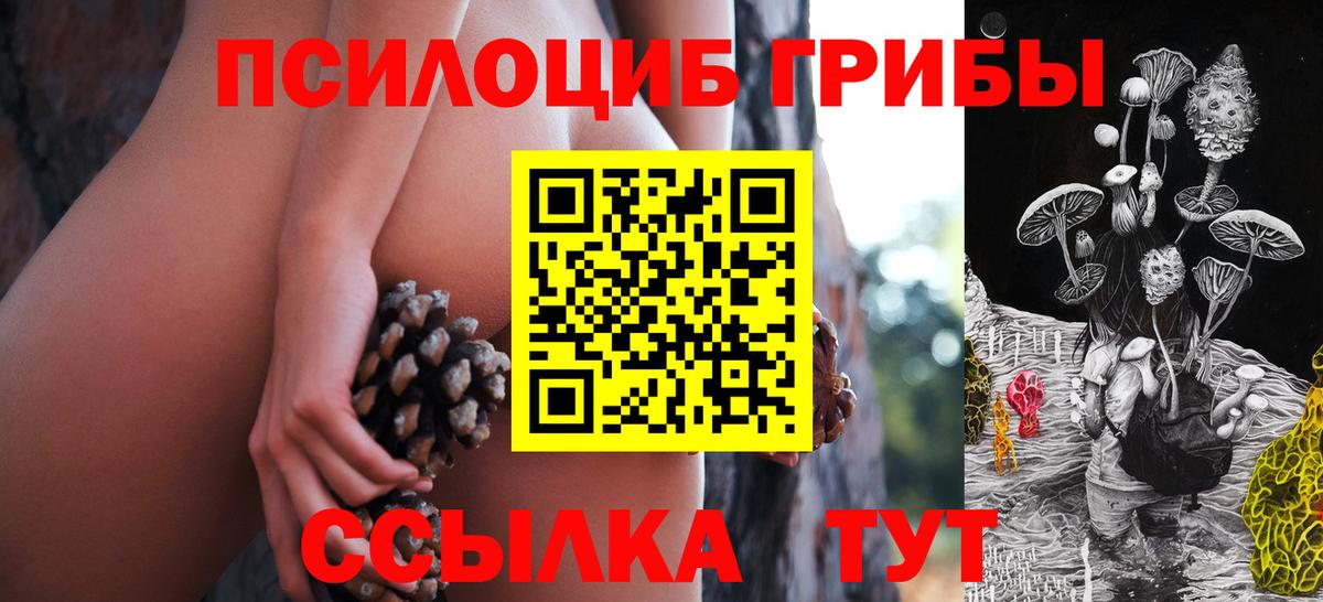 Альфа ПВП Ногинск